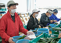 野菜、果物などの生産販売