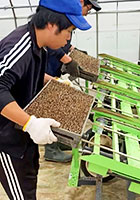 ボカシ（有機肥料）の生産